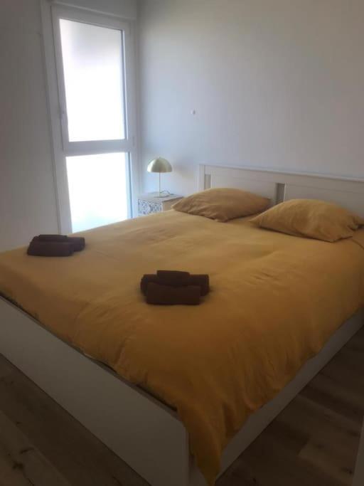 לה-טסט-דה-בוש Superbe Appartement Arcachon מראה חיצוני תמונה